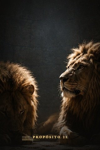 Capa de A história de Daniel